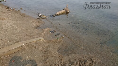 DSC_20220808111823_0251